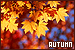 Season: Autumn/Fall